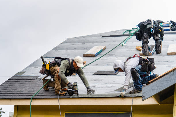 Professional Gutter Installation technician working in North Pitcher, NY